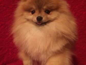 ��������� ���� ���������, ���������� ��������, ������� ����, ���� �������, ������������ ��������,  ��� 1, 5��, ���� 18��, ����� �����, ��������� ���,  ���� ������ � ������������