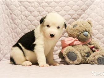 ������ �������� ������ �������� �����,  �������� � �������� �����������, ������������ ��������� ��������,  ����� ��� ������ ��������������, � ������� �������� ����� � ������������