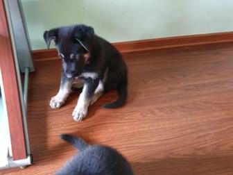 ������������� �������� �����-������� �� ����� �������������� ���� ����������� � ����� �������,   ����� �� ����������������, �� � ����� ��� ������ �������� ���������- � ������������