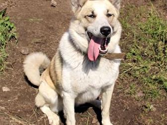 ����� ������� ����� ����������� (� ������ ����), ����������, ��������, ������ �������� �� ����, ����� ����� � ���������! �������� �������, � ������������