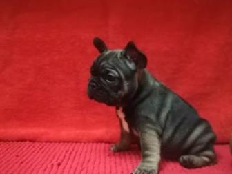 ������������ ��� �������������� ����� ������������ �������� � �������� �����������,  �� ������ �������� ����� ����� ������, ������� ��������, �������� �� ��������, � ������������