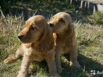 �������� �����, �������, �������� � �������, � �����������,  �� ���� �������� �������! � ������������