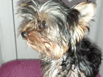 ����� 4 ������,  ������� ����, ��� ����� ����, ����� �� ������, �������� ���������� �� ��������, ����� �� ���������� ���������,  ���� ��� �������, � ������������