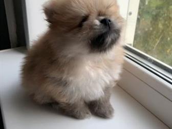 �������������� ������ ������������ ����� , �������� 28, 07, 2019�,  ���� ������� , ��� ��������! ���� ������ ������ , ���� ������ ������ , � ��������� ���� ��������� � ������������