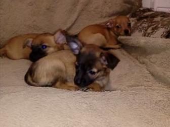 ������ ��������� ������!���� ���������������,���� ��������������, �������� 14 ����, ������, �������� �� ����������, ������� ,������, ���������� ���������,�����������, � ������������