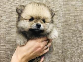 ������ ������������� ������ ������������ �����, ������� 31 ���� 2019 ����, ��� ������  ����������� �� ������ ������ ��������� ! ���� � ���� � ����������� �� ��������� � ������������