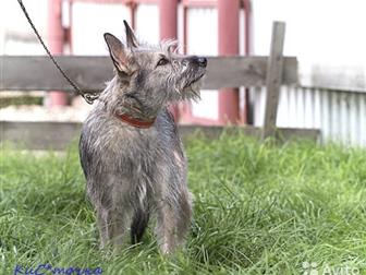 ����� ����� ���! ������ 1,5 ���� , ������ 45 ��,  � �����,  ���� ������� �� ������� �� ��, ������ � �������� 3 ���,  ��� ����� ���������� � �� ��������� ����� ���������� � ������������