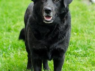 �������������� � ����� ����������� ����� ���� ���! ����� ����� 4 ���, ���������������, ��������, ������� �����,  ����� ���������, ����� �������,  ����� �������� � ������������