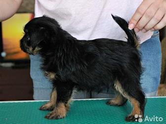 ����� ������������ �������� - ������, ���� �������� 2, 07, ����� ���������, �� ��� ����������! � �������� ��������� �������! ��� �����������, �������� �� ��������, � ������������