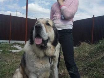 ��������� ����������� ������ ��� �����,  �������� ����������� ���� �-���� �� ��������� ��������, ���� ������ ������� �� ��������� �� ���� ������,  ����� ������, � ������������