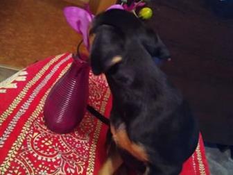 �������,  22 �������� ���� 3 ������ ,  ����� ������ �� �������, ���� ��������� ����!�������� �� ������������ � ������������