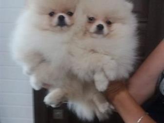 ������ �������� (������) ������� 31, 06, 19 �������� � ������������