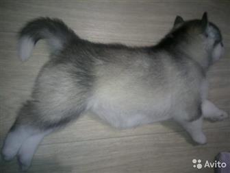 ����� �����,  1 ����� � ������������