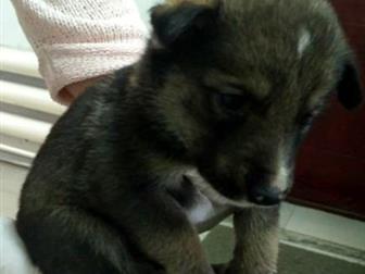 ���� ��� � ������������� ������, ��� �������!!������ ���� � �������� � �����?��� �� �� ���� �������?������� ����, � ����� ������ �� ������!������ ���� � ������ �������� � ������������