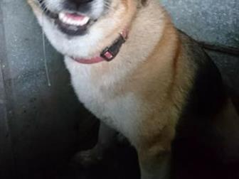 ���� � ������!������ ��� ������ ���,� � ����� ����� ��������?��� ������ ������ ������,����� �� �����������, ��� ���-�� ���-,������, ��� � ������� ������!������, � ������������