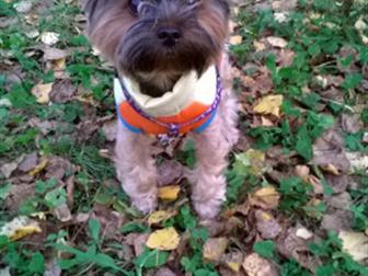 ����� �������� ������ ���������� �� ����� ��� ������ ����������� ������, ������� ���������,�����������,                                                          � ������������