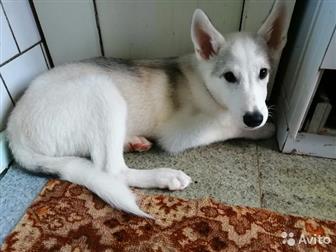 ����� 5 �������,  ������ ����� � ������,  ��������, �������, � ������������