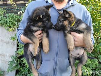 ������ ������ �������� �������,  �������� �������� �������� ���������,  2� ��������,  �������,  �������� ���������������� ����� ������ ��������� � ��������, � ������������