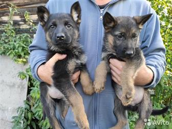 ������ ������ �������� �������,  �������� �������� �������� ���������,  2� ��������,  �������,  �������� ���������������� ����� ������ ��������� � ��������, � ������������