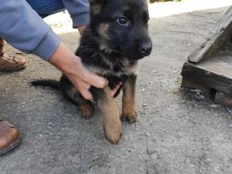 ������ ������ �������� �������,  �������� �������� �������� ���������,  2� ��������,  �������,  �������� ���������������� ����� ������ ��������� � ��������, � ������������