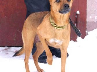 ��� ������ ��� ������, , ������� � ������� ,������� 5,5 ���, ������� �� ���� ���, ����� ������  40��,  � �����,  ����� �������� � �������� ����� ������� ����� ������� � ������������