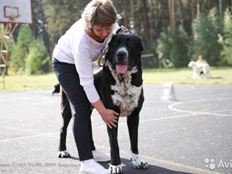 ������������ ������ ��� �����, ������ ������������� ����!���������� �������! ��������� �����,  ������: ���� ������� ������ ������� ������ ������� ���������� �������������� � ������������