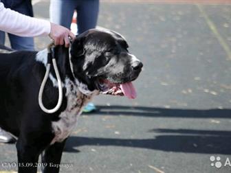 ������������ ������ ��� �����, ������ ������������� ����!���������� �������! ��������� �����,  ������: ���� ������� ������ ������� ������ ������� ���������� �������������� � ������������