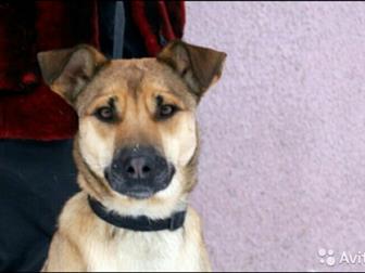 � ����� ��� �����, �������� ���� ��� ��������� ��� �������,  ��� ������� ����� ! ��� ��� �� �������� �������� ���� ����, �������� � ������� �/� �����, , , , , �� � ������������