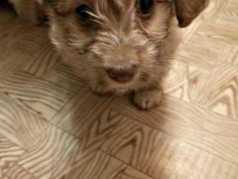 ���������� ������� ����������� ����� , ���� �����, ���� ������,  ���� ������� �������������� ���� � �������� �� ��� ������������ ��� �������, � ������������