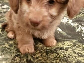 ���������� ������� ����������� ����� , ���� �����, ���� ������,  ���� ������� �������������� ���� � �������� �� ��� ������������ ��� �������, � ������������