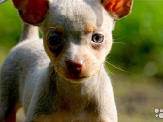 ��e�� ���e����� ����� P������� ��� ���� o����c������x p����e���,  �p�����ae� �e�o��� � �a������ ���� �����pa,  P�����o, ���o�o�� o�p�c�,  ���ac ��o������ �eo����o, � ������������