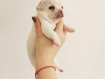 ������ ��� �������������� ����� �������� 31, 08, 2019 �,  �,  ��������,  ����� ����� ������������ ������� � ��������� � ���������,  �������� �� ������� ����,  ���� � ������������