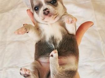 ������ ��� �������������� ����� �������� 31, 08, 2019 �,  �,  ��������,  ����� ����� ������������ ������� � ��������� � ���������,  �������� �� ������� ����,  ���� � ������������