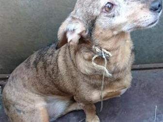 ���� ��� � ������������� ������, ��� �������!!������ ���� � �������� � �����?��� �� �� ���� �������?������� ����, � ����� ������ �� ������!������ ���� � ������ �������� � ������������