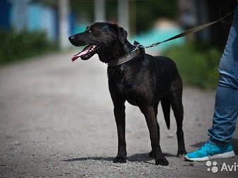 ����������� � ����� ��������� ���! �������� � ������� ����� ���� ������� � �����! ??  ������� �������� �� � �������� ���������� �������� � �������� ����������, � ������������