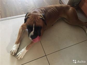 ������-������� 2 ����! ����� ������, ����� �����, ��� ���� �������� ���������,  ����� � ������� ���-����� ���� ��� �������� � ��������, �� � ����������� � ����, � ������������