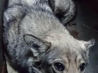 ���� � ������! ��� � ������!!!!������ ���� � �������� � �����?��� �� �� ���� �������?������� ����, � ����� ������ �� ������!������ ���� � ������ �������� �� ����, � ������������