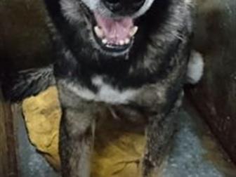 ���� � ������! ��� � ������!!!!������ ���� � �������� � �����?��� �� �� ���� �������?������� ����, � ����� ������ �� ������!������ ���� � ������ �������� �� ����, � ������������