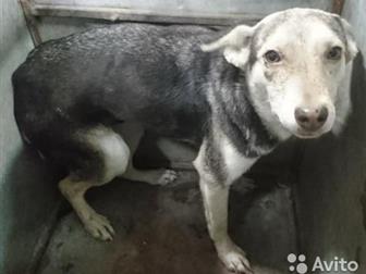 ���� � ������! ��� � ������!!!!������ ���� � �������� � �����?��� �� �� ���� �������?������� ����, � ����� ������ �� ������!������ ���� � ������ �������� �� ����, � ������������