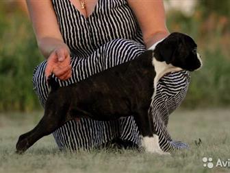 ��������� �������� ����� �������, ��������,  2 ������,  �������, ��������,  ����� �������� � �����,  ����� ��������� � �������� �������� � �����,  � ������ �������� � ������������