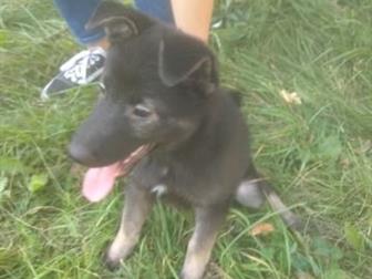 �������� ����� ������ ��� ��� �����, ���� ������, �������� ���������� ���� �������! 2,5 ������ � ������������