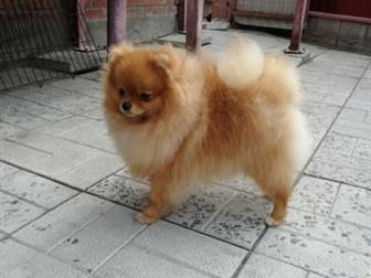 �������  ������������ �����, � 02, 01, 2019,  ������ ���� � �����,  ���� ��������� 6*6, ����� ��� �������,  ������� ���, �������, ������ �������� ����������, ������, � ������������