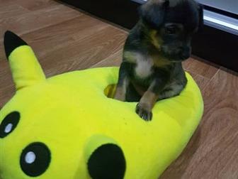 ������� ��� ������� ���� ������� ��� � ���))) �������� 29, 08, ����� ����� � ������� ������, 3 �������, 1 �������,  ���� ��������(4200), ���� ����(1800), � ������������