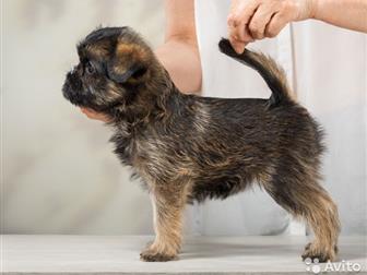 ����� ������������� �������� �� ���������, ����� ����������: ������������ �������, �������� � ������������� c����� , ������ ����������, ������,  ���������������� � ������������