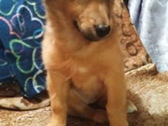 �������� ����� �� ������, ������� ������ 3 ����� �� �������, � ������������