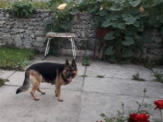 ����� �������� ������� 05, 08, 2019�,  �������� �� ������� ��������������,   ������ �������� ����������,  ����-���, � ������������