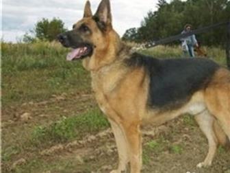 ����� �������������� ������� ���� ������������� �� ������, ������� 6-7 ���, ������ �������� � ��������-����������� �������,  �������� ������ � ������� ��� � ������ � ������������