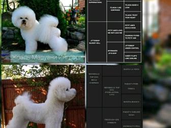 ������������ ��� �����  - �������, ������������� ������ �� ������  ������� ������� ����� ����,  ���� ����������  ��� �� ������������  �������� ,��������  � ���, � ������������