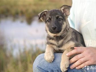 ��������� � ����� ��������, ����� ������,  ������� ���������! �������� ���� ��� �����! �������� �������� �� ������, ����� ������� ������, ������ ���� � ������� � � ������������