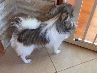 ������������ ��� ����� ��������,������� ������ � �����������,��������� ������� �������, ������� ��������, � ������������